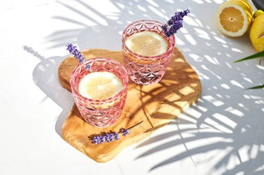 Limonlu soğuk bir soda ve palmiye ağaçlarının gölgesinde güneşli bir günde lavanta filizi. Taze serin yaz içkileri