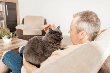 Orta yaşlı bir adam oturma odasındaki kanepede gri bir kediyle oturur ve işten sonra dinlenir. Hayran olunan hayvanlar. 