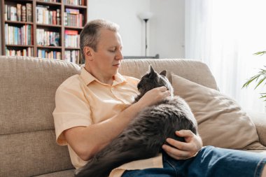 Gömlekli bir adam güneşli bir günde oturma odasındaki kanepede oturur ve sevgili gri tüylü kedisini kollarında tutar. İnsanlar ve hayvanlar arasındaki ilişkiler. Hayran olunan hayvanlar 