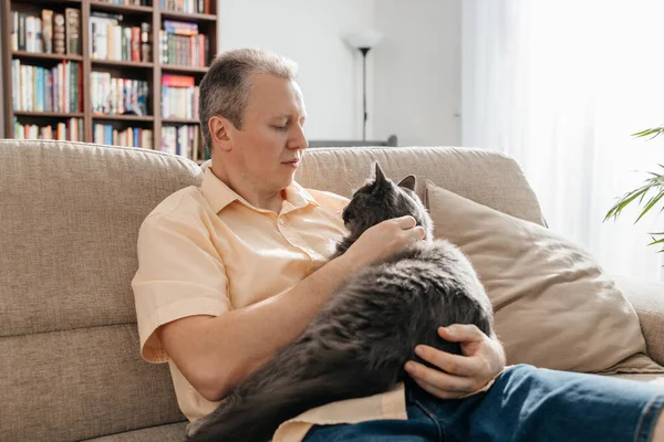 Gömlekli bir adam güneşli bir günde oturma odasındaki kanepede oturur ve sevgili gri tüylü kedisini kollarında tutar. İnsanlar ve hayvanlar arasındaki ilişkiler. Hayran olunan hayvanlar 