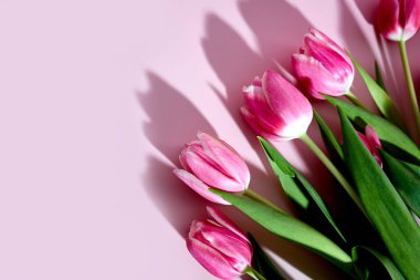 Pembe arka planda pembe laleler ve mesaj için yer. Sevgililer Günü, Anneler Günü ve Doğum günü selamlama konsepti. 