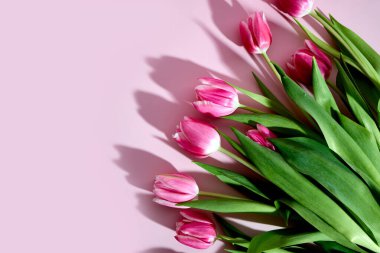 Pembe arka planda pembe laleler ve mesaj için yer. Sevgililer Günü, Anneler Günü ve Doğum günü selamlama konsepti. 