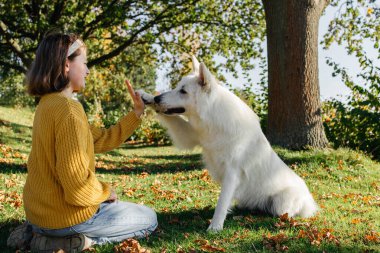 Genç kız köpeğiyle dışarıda vakit geçiriyor. Beyaz İsviçreli çoban köpeği. Köpekle oynayan kız. 
