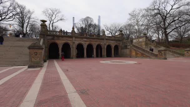 Abd Nin New York Şehrindeki Central Park Görüntülerinde Kışın Soğuk — Stok video