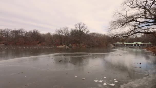 Footage Central Park City New York Usa Taken Winter Time — Stockvideo