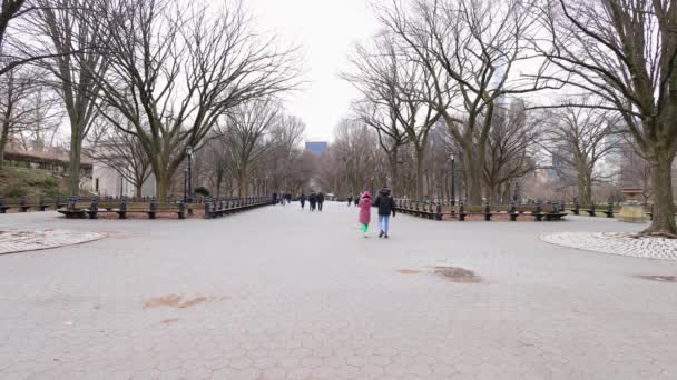 冬の寒い日に撮影された米国ニューヨーク市のセントラルパークの映像は 冬の服を着た人々と一緒にモールと文学ウォークとして知られている有名なパスを示しています — ストック動画