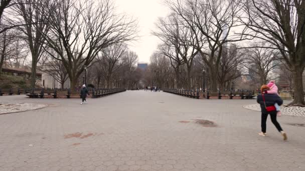 美国纽约州中央公园的影像 是在寒冷的冬天拍摄的 展示了著名的 购物中心与文学之路 人们穿着冬衣走在大街上 — 图库视频影像