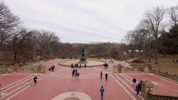 Запись Центрального Парка Городе Нью Йорк Сша Снятая Холодный День — стоковое видео