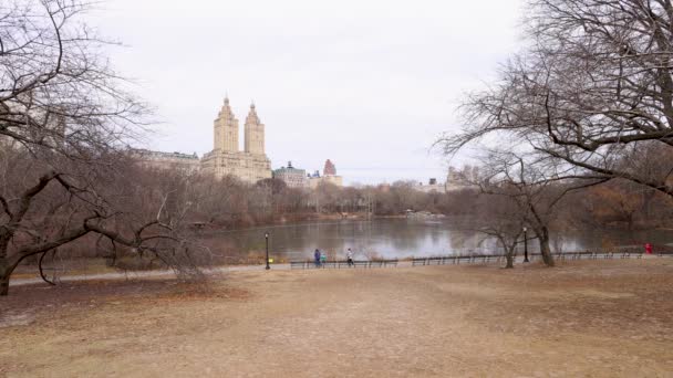 Abd Nin New York Şehrindeki Central Park Arka Planda San — Stok video