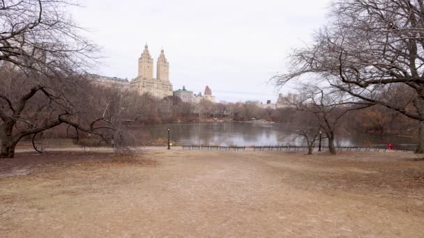 Filmagem Central Park Cidade Nova York Nos Eua Tirada Inverno — Vídeo de Stock