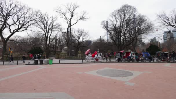 2022年12月31日 美国纽约市 美国纽约市中央公园 冬季寒冷的一天 与游客一起展示着著名的 购物中心与文学漫步 — 图库视频影像
