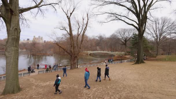 Nova York Eua Dezembro 2022 Central Park Cidade Nova York — Vídeo de Stock