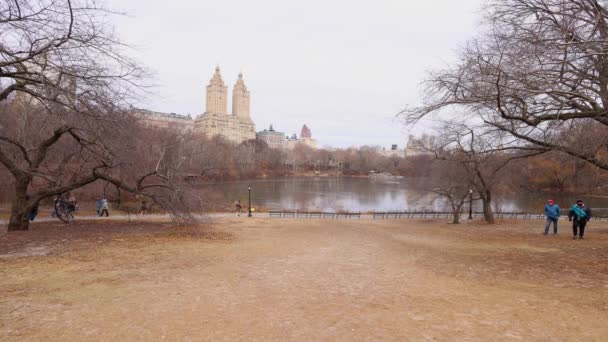 New York États Unis Décembre 2022 Central Park Dans Ville — Video