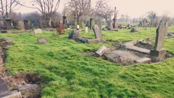 Кадри Кладовища Туманні Зими День Зроблені Дрона Дуже Старі Надгробки — стокове відео