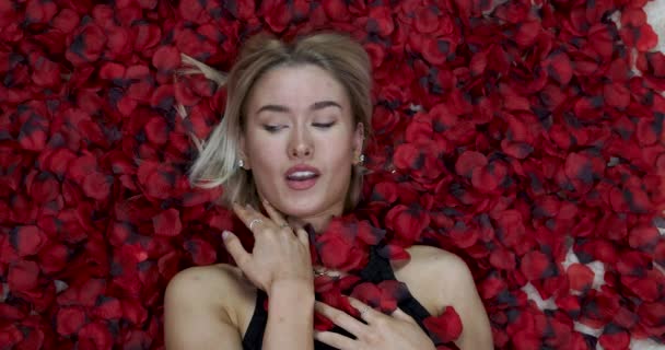 Atrakcyjna Blondynka Leżąca Płatkami Róż Wokół Swojej Romantycznej Koncepcji Seksownej — Wideo stockowe