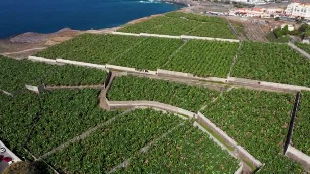 Flygdrönare Bilder Den Vackra Staden Costa Adeje Santa Cruz Tenerife — Stockvideo