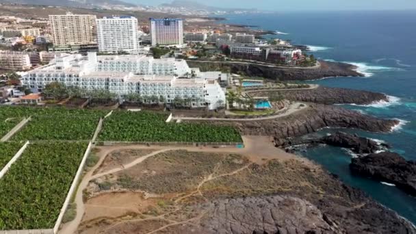 西班牙圣克鲁斯 德特内里费的美丽城镇科斯塔阿德杰的空中无人驾驶飞机镜头 显示了夏季著名的里乌酒店在海边的香蕉农场旁边 — 图库视频影像