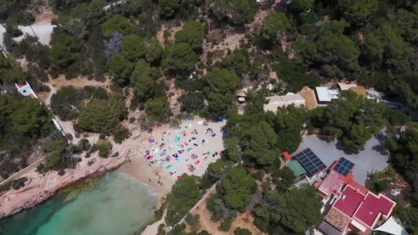 バレアレス諸島のイビザ島のサンアントニ村のCala Gracionetaとして知られるビーチの空中ドローン映像夏の日当たりの良いビーチでリラックスした人々を示すスペイン — ストック動画