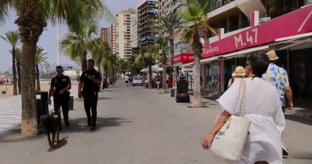 スペイン ベニドルム 2023年7月1日 スペインの美しい都市ベニドルムの映像は 夏の時間に通りを歩いている警察犬とスペインの警察官を示しています — ストック動画