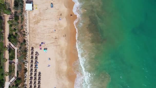 Rakt Ner Flygbilder Den Vackra Strandkanten Albufeira Portugal Som Visar — Stockvideo