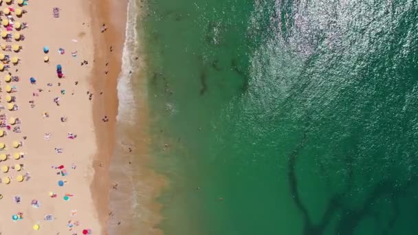 Filmagem Aérea Bela Frente Praia Albufeira Portugal Mostrando Praia Albufeira — Vídeo de Stock