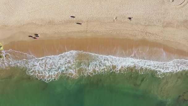 Filmagem Aérea Bela Frente Praia Albufeira Portugal Mostrando Praia Albufeira — Vídeo de Stock
