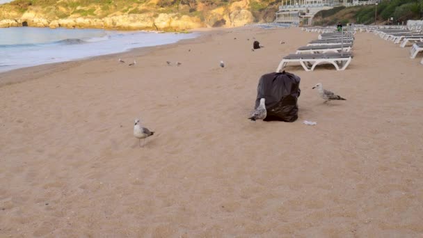 포르투갈 알부페이라 Albufeira 아름다운 앞에서 해변의 쓰레기 봉투에서 벗어나 해수욕장과 — 비디오