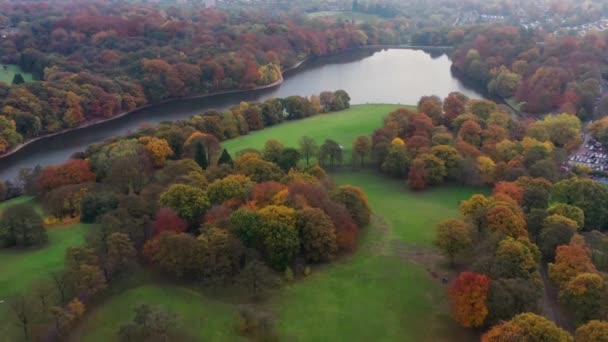 イギリス西ヨークシャーのラウンドハイ公園として知られるリーズの公園と湖の美しい秋の色を示す秋の航空写真 森林地域 ゴルフコースを示す — ストック動画