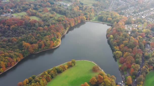 Εναέρια Πλάνα Φθινόπωρο Δείχνουν Όμορφα Φθινοπωρινά Χρώματα Ενός Πάρκου Και — Αρχείο Βίντεο