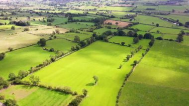 İngiltere 'nin North Yorkshire kentindeki bir pazar kasabası olan Leyburn' ün hava aracı görüntüleri, yaz aylarında kırsal kesimde yeşil çiftçi tarlalarını gösteriyor.