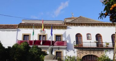 Marbella, Mlaga, İspanya 8 Aralık 2024: Malaga 'nın eski Marbella kasabasında çekilen görüntüler, güneşli bir günde dışarıda Noel süsleriyle güzel belediye binasını gösteriyor