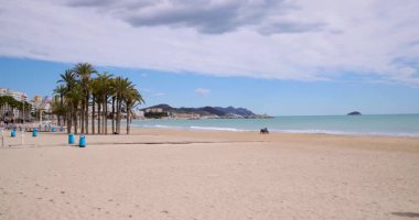 Villajoyosa kasabasındaki tipik bir İspanyol plajının yavaş çekim görüntüleri güneşli bir günde palmiye ağaçlarıyla güzel sahili gösteriyor.