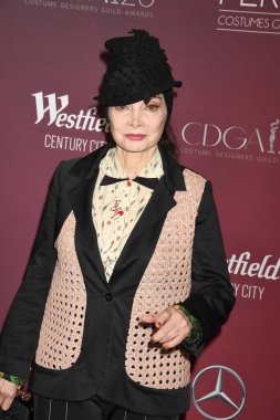 LOS ANGELES, CA. 27 Şubat 2023: 25. Kostüm Tasarımcıları Birliği Ödülleri 'nde Toni Basil Fairmont Century Plaza, Los Angeles