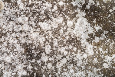 Çatlak ve soyut grunge dokusu. Yaşlanmış malzeme yüzey arkaplanı. Yıpranmış etki kalıbı. Eski ve kirli bir geçmiş. Grafiksel kaynak.