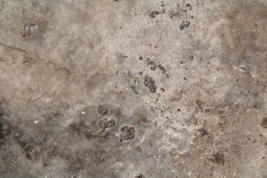 Çatlak ve soyut grunge dokusu. Yaşlanmış malzeme yüzey arkaplanı. Yıpranmış etki kalıbı. Eski ve kirli bir geçmiş. Grafiksel kaynak.