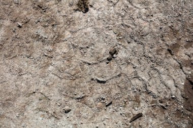 Çatlak ve soyut grunge dokusu. Yaşlanmış malzeme yüzey arkaplanı. Yıpranmış etki kalıbı. Eski ve kirli bir geçmiş. Grafiksel kaynak.