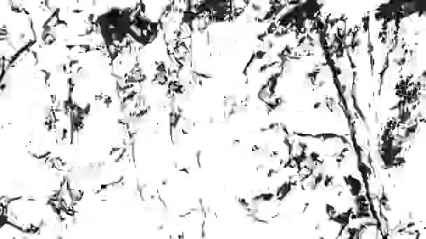 Vervloekte Grunge Textuur Sjabloon Gebarsten Getextureerde Eindeloze Beelden Vintage Achtergrond — Stockvideo
