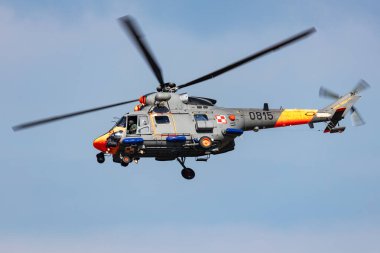 Radom, Polonya - 24 Ağustos 2023: Polonya Donanması PZL W-3 Sokol hizmet nakil helikopteri. Havacılık ve askeri rotorcraft.