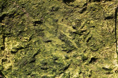 Taş soyut doku. Yüzey grunge arka planı. Kirli etki kalıbı. Malzeme geçmişi. Grafiksel kaynak.