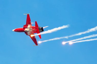 Radom, Polonya - 27 Ağustos 2023 İsviçre Hava Kuvvetleri F-5E Tiger savaş uçağı. Havacılık ve askeri uçaklar. Patrouille Suisse akrobatik takımı.