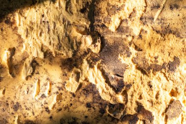 Plastik soyut doku. Yüzey grunge arka planı. Kirli etki kalıbı. Malzeme geçmişi. Grafiksel kaynak.