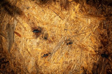 Ahşap soyut doku. Yüzey grunge arka planı. Kirli ahşap efekt deseni. Malzeme geçmişi. Grafiksel kaynak.