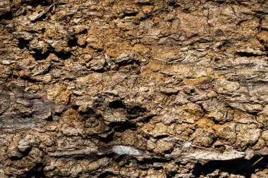 Ahşap soyut doku. Yüzey grunge arka planı. Kirli ahşap efekt deseni. Malzeme geçmişi. Grafiksel kaynak.