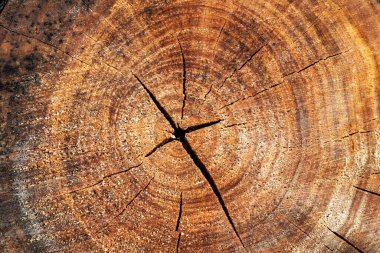 Ahşap soyut doku. Yüzey grunge arka planı. Kirli ahşap efekt deseni. Malzeme geçmişi. Grafiksel kaynak.