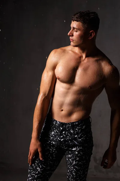 Bodybuilder Στούντιο Αλτήρες Και Καρέκλα Γυμνό Κορμό Γκρι Φόντο — Φωτογραφία Αρχείου