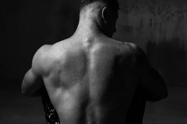 Bodybuilder Studio Dumbbells Chair Bare Torso Gray Background — Stock Photo, Image