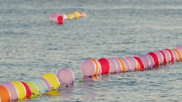Αστεία Πολύχρωμα Μπαλόνια Στο Θαλασσινό Νερό — Αρχείο Βίντεο