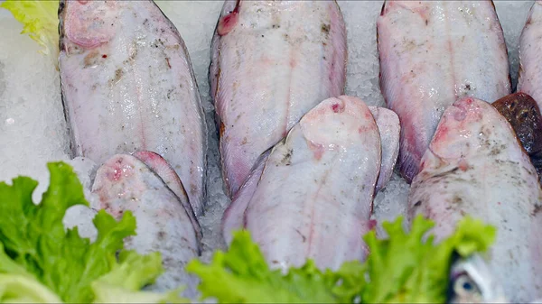Peixes Crus Frutos Mar Uma Loja Mercado Gelo — Fotografia de Stock