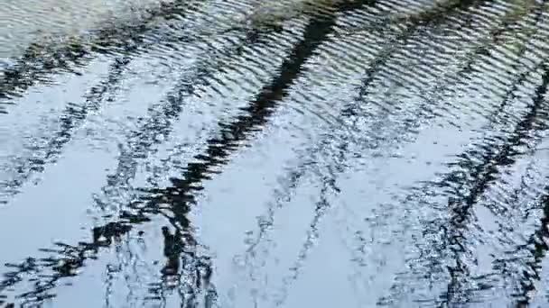 湖水里干枯的树枝的阴影 — 图库视频影像