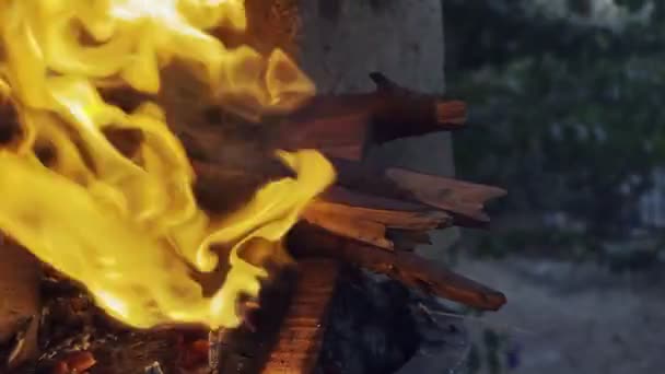 Tölgyfa Égő Tűz Lángok Grillezéshez — Stock videók